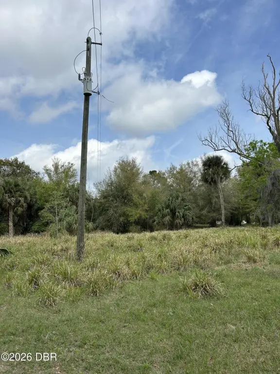 Picture 6