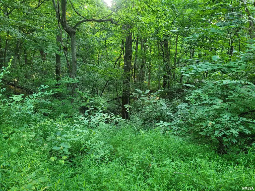 Picture 11