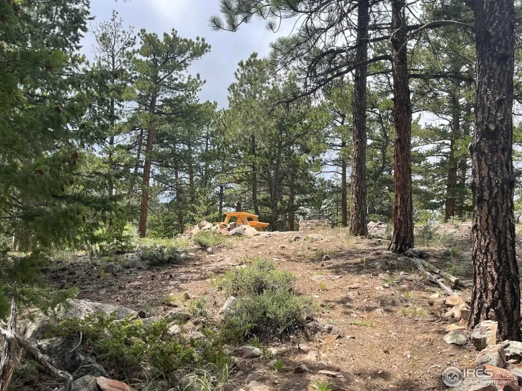 Picture 20