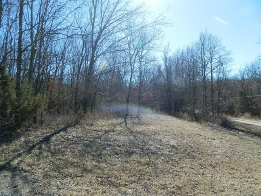 Picture 3