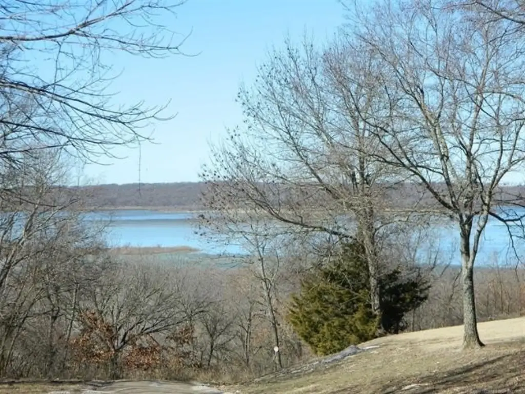 Picture 8