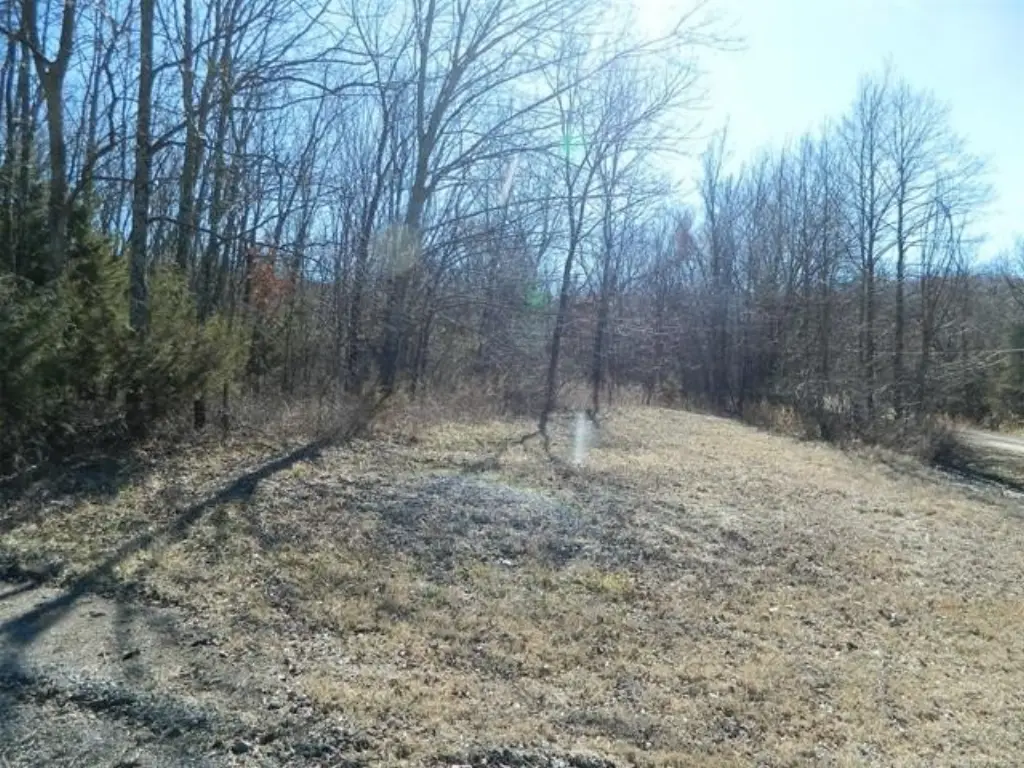 Picture 2