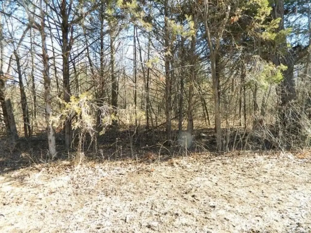 Picture 6