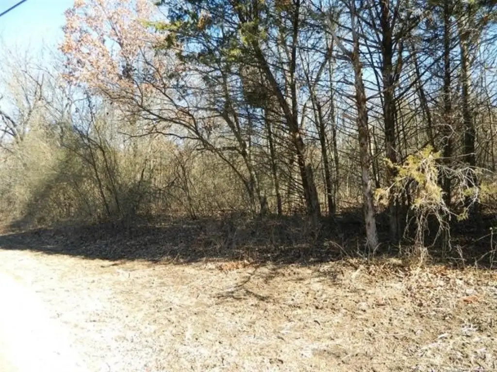 Picture 4