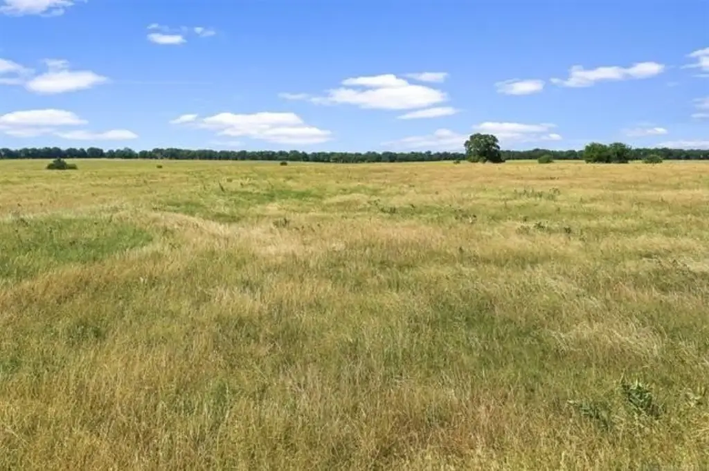 Picture 26