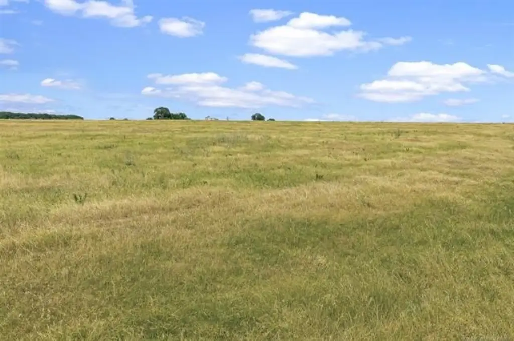 Picture 24