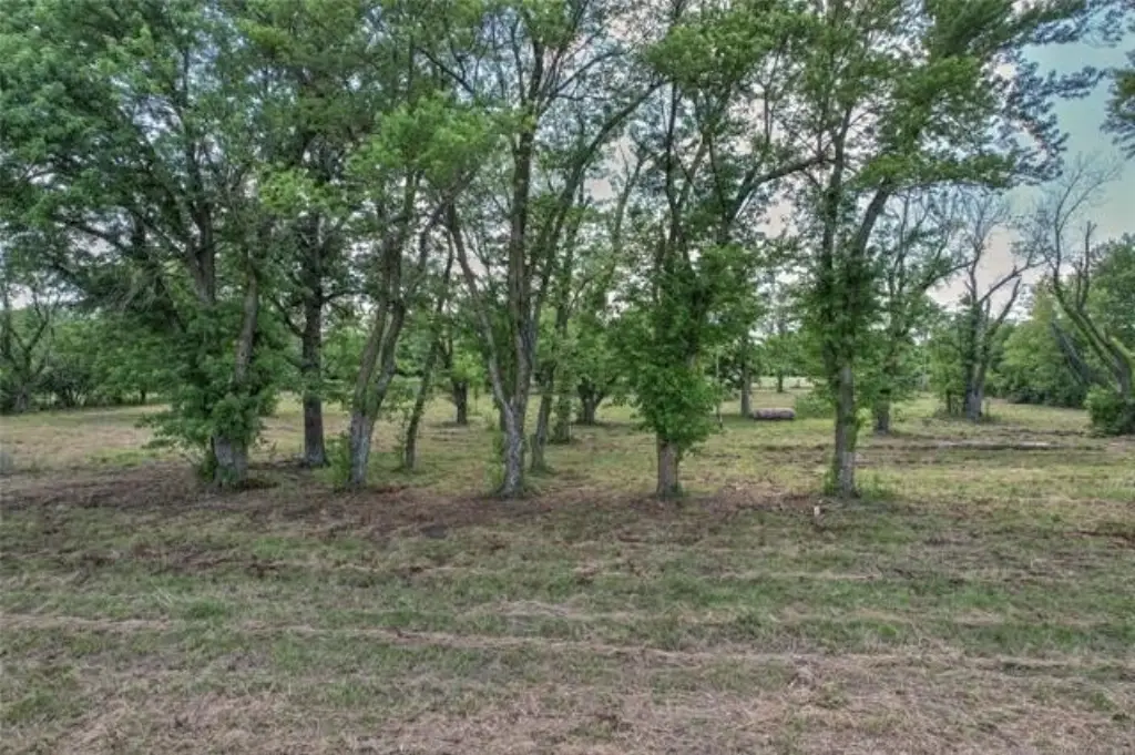Picture 4