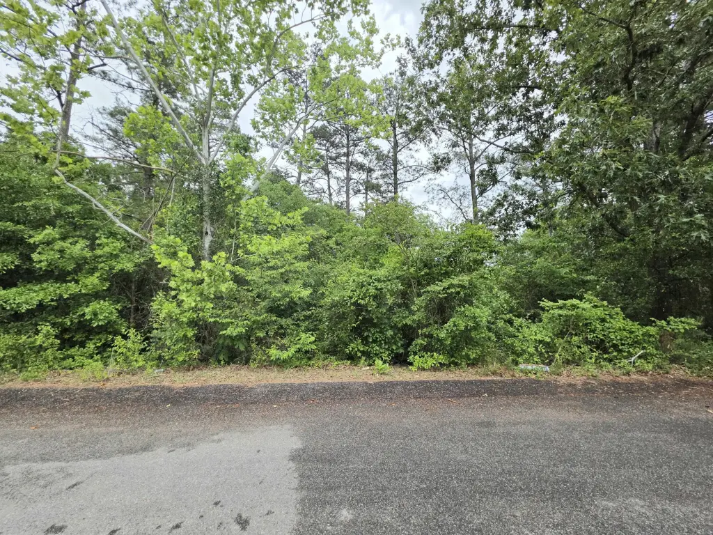 Picture 3