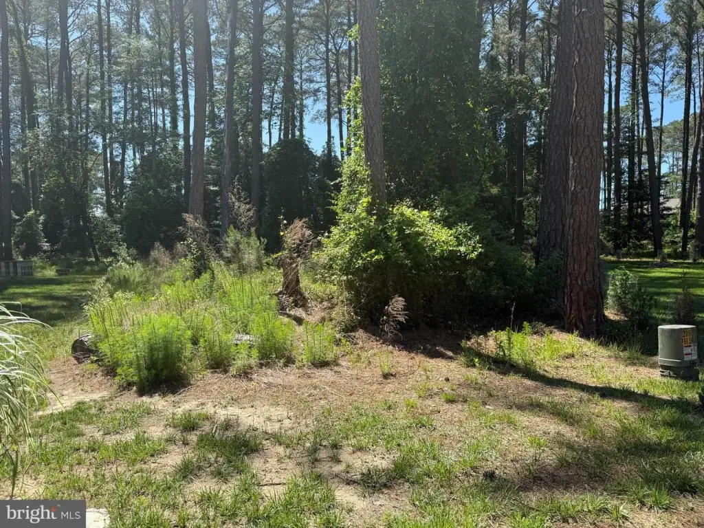 Picture 3