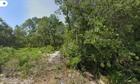 Land in Silver Springs, FL