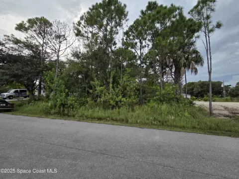 Palm Bay Land For Sale