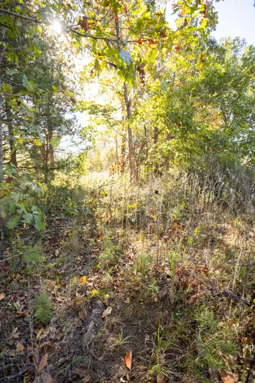 Picture 29