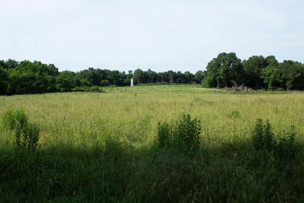 Picture 16