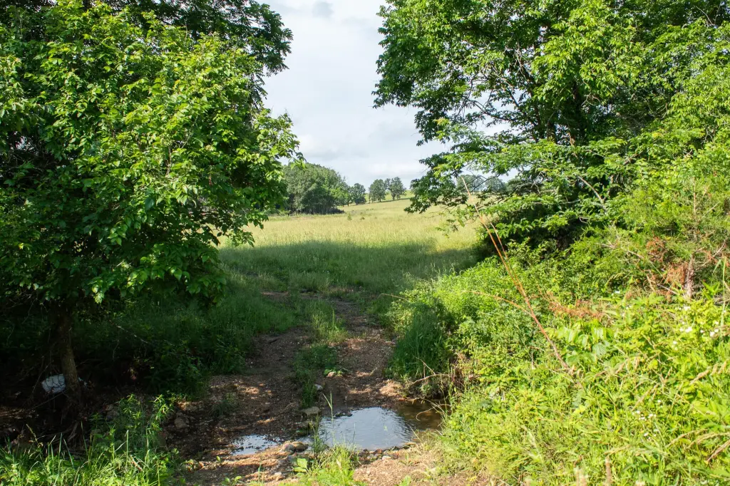 Picture 45