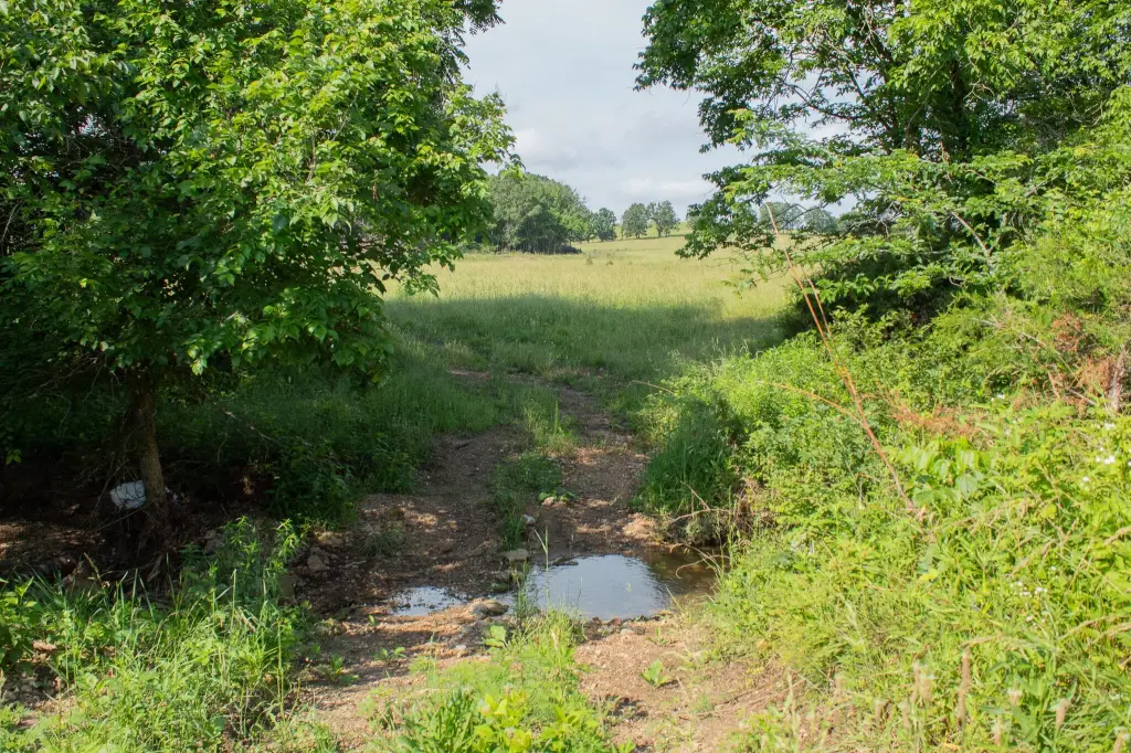 Picture 47