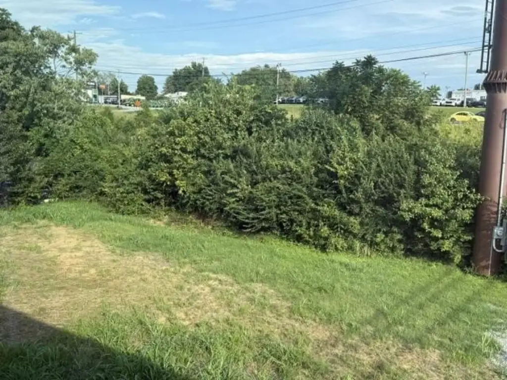Picture 30