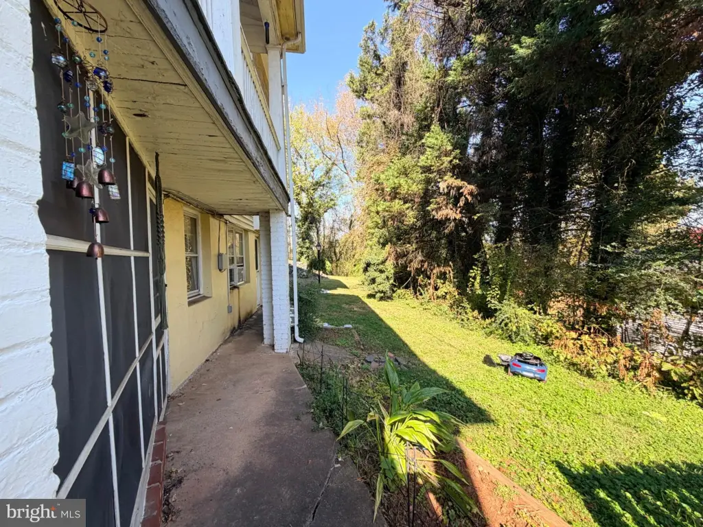Picture 24