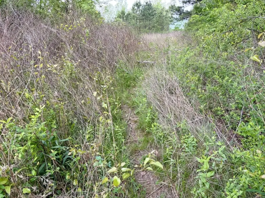 Picture 19