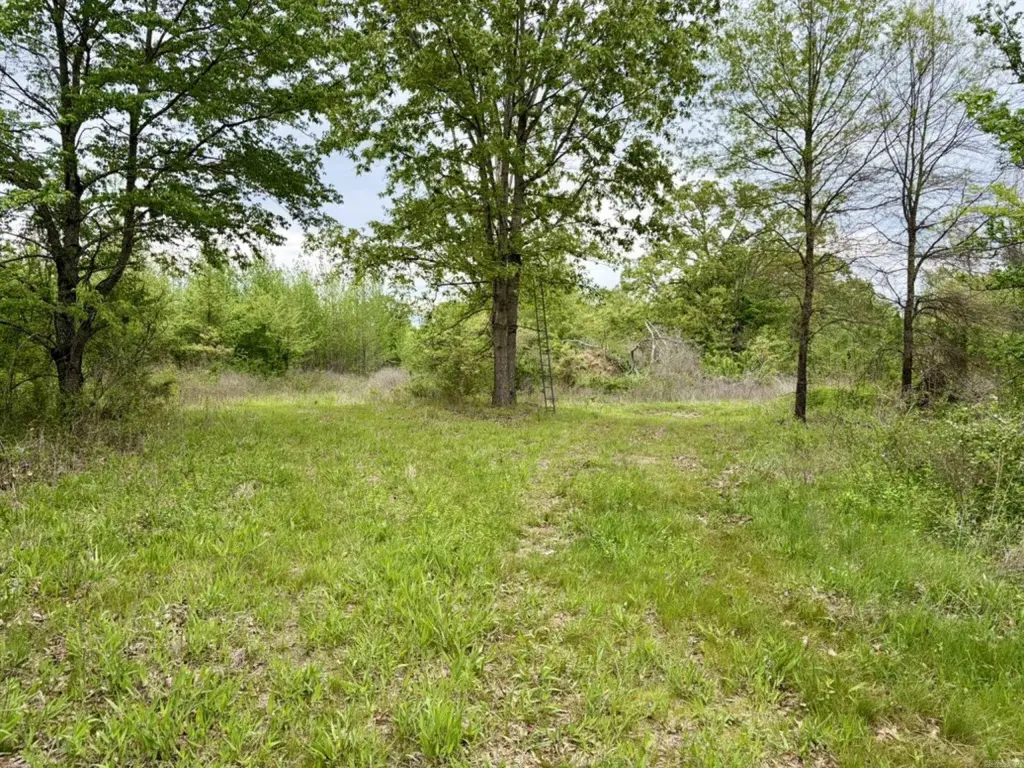 Picture 32