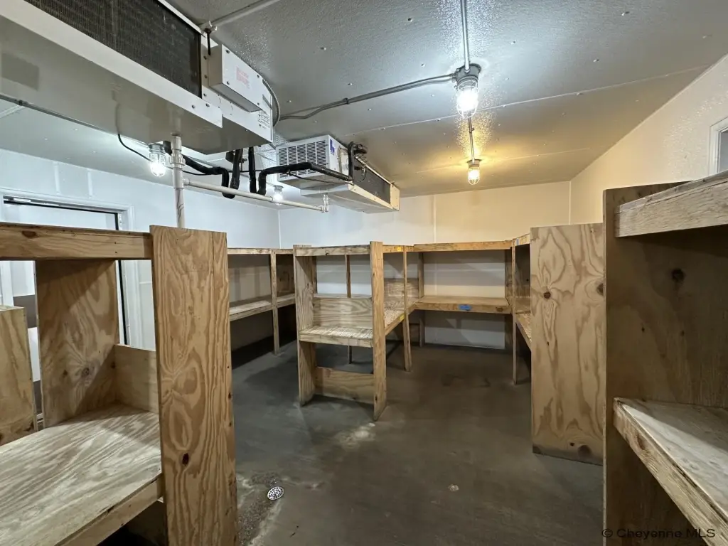 Picture 15