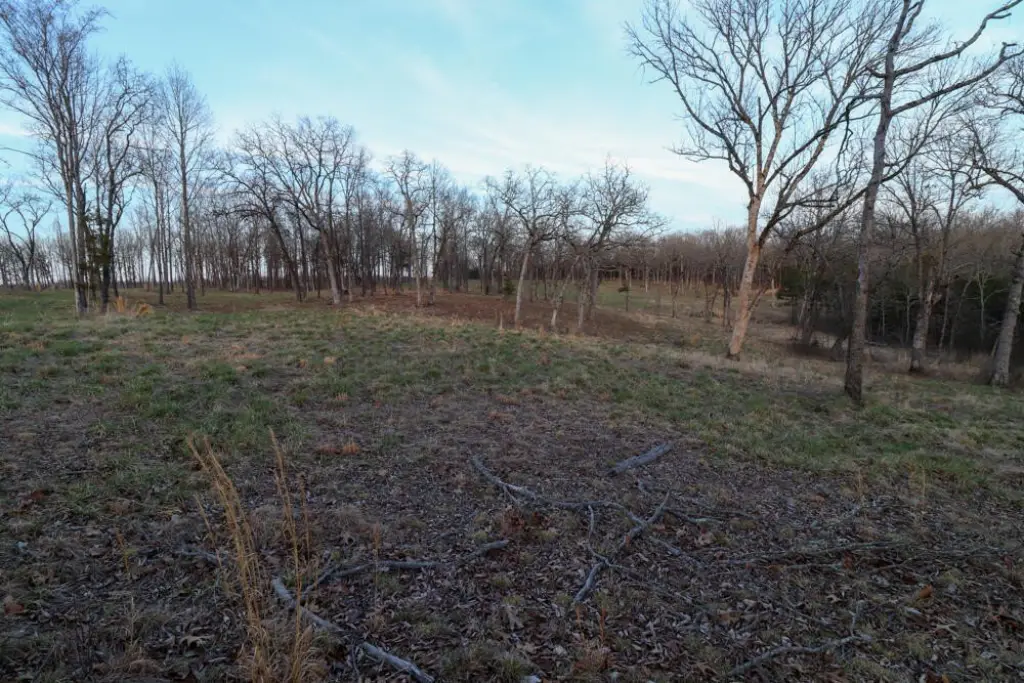 Picture 12