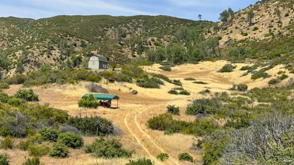 Picture 34