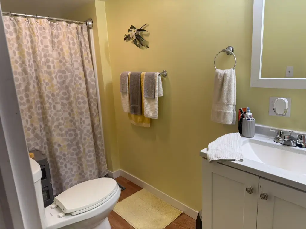 Picture 12