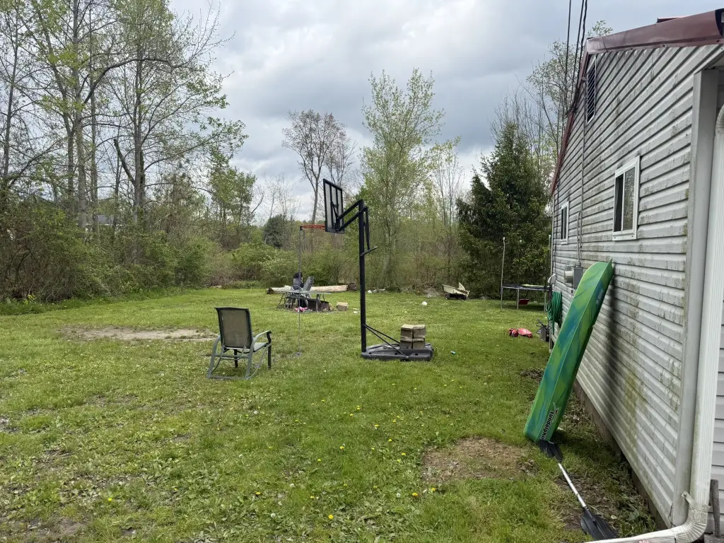Picture 5