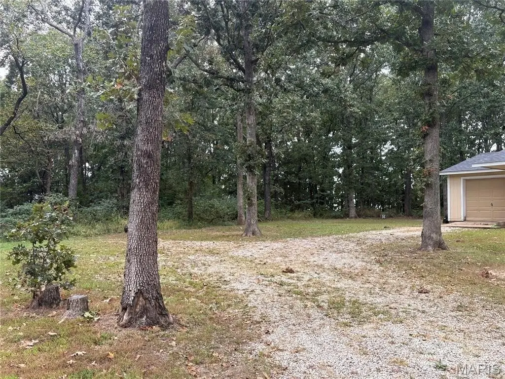 Picture 3