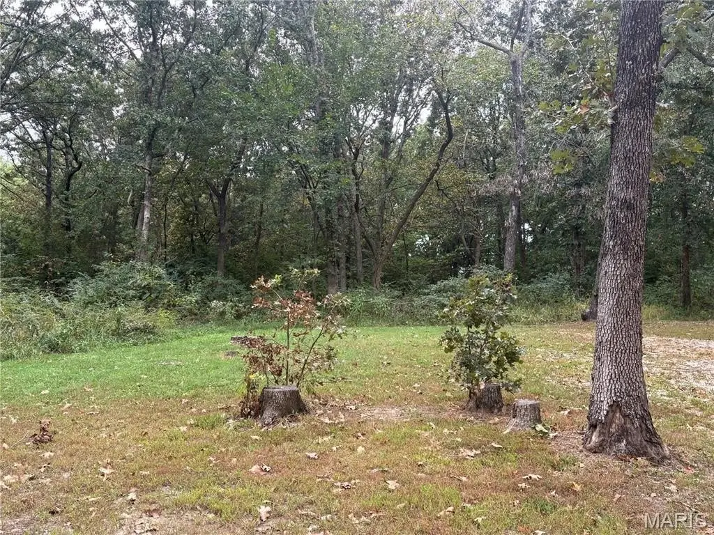Picture 4