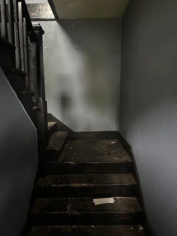 Picture 15