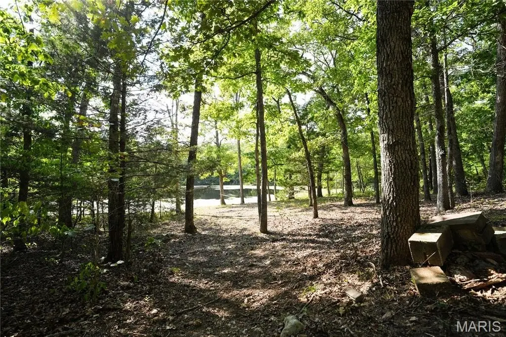 Picture 21