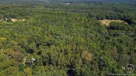 30 Acres Wooded Land