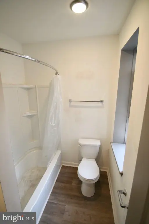 Picture 14