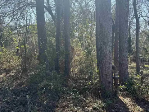 Residential Lot Near Lake Palestine