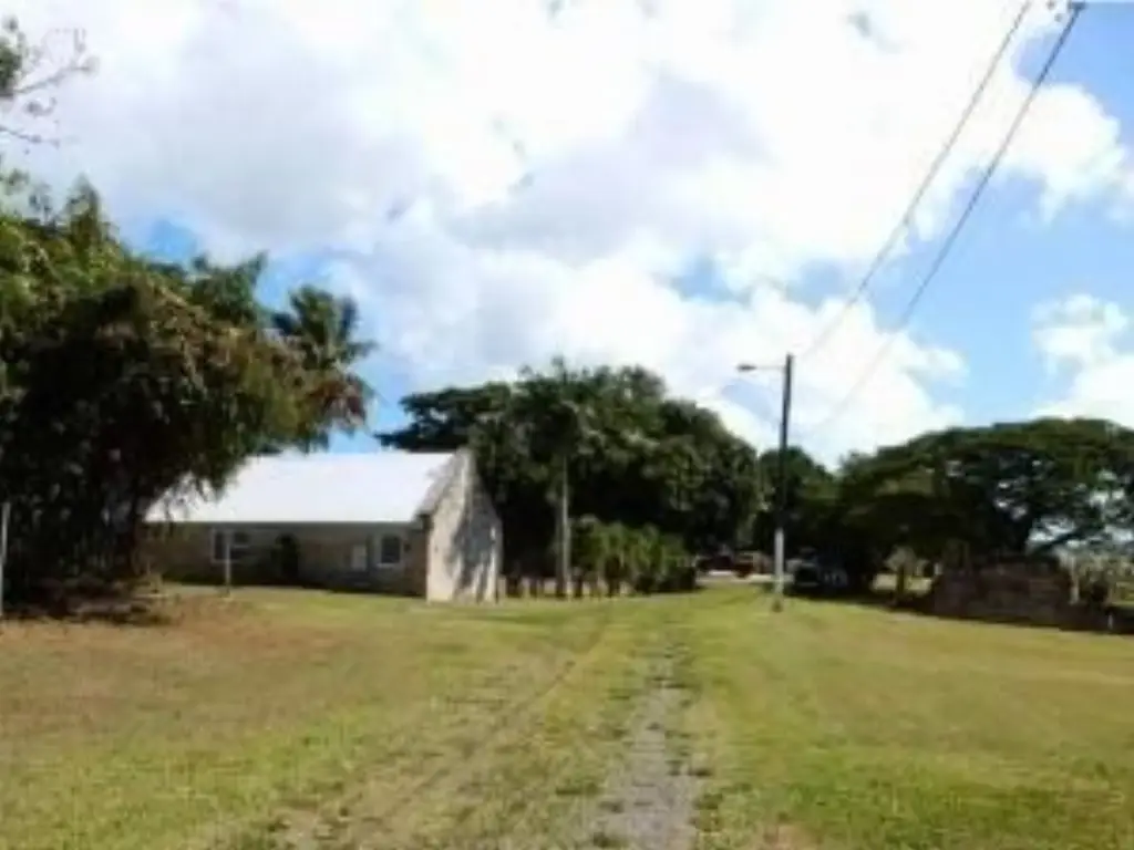 Picture 28