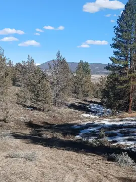 Secluded Wooded Property with Views