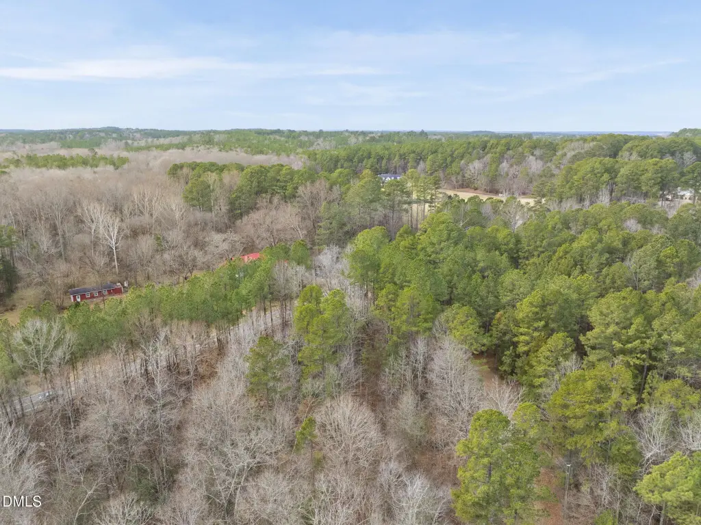 Picture 43