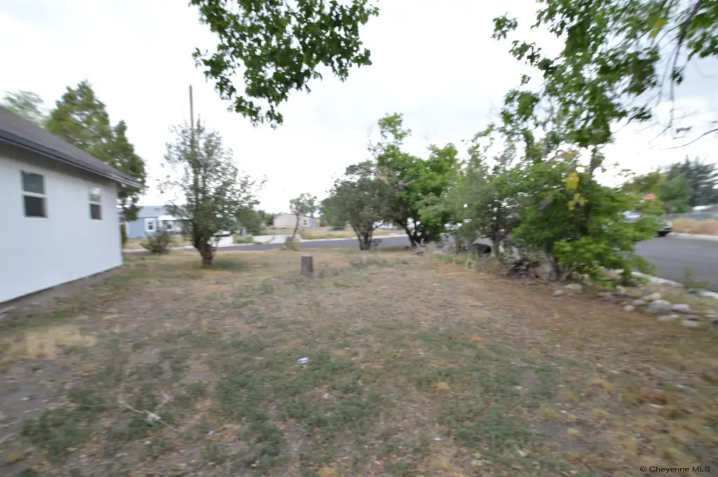 Picture 19