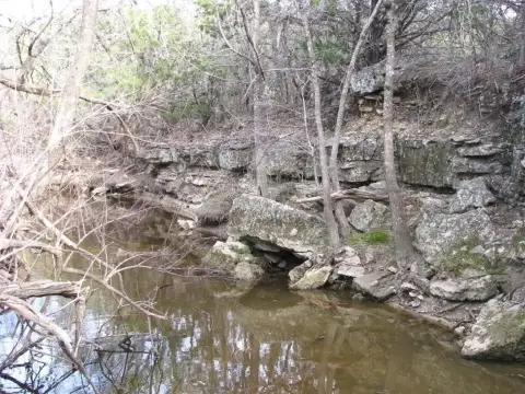 41.67 Acres Prime Texas Land