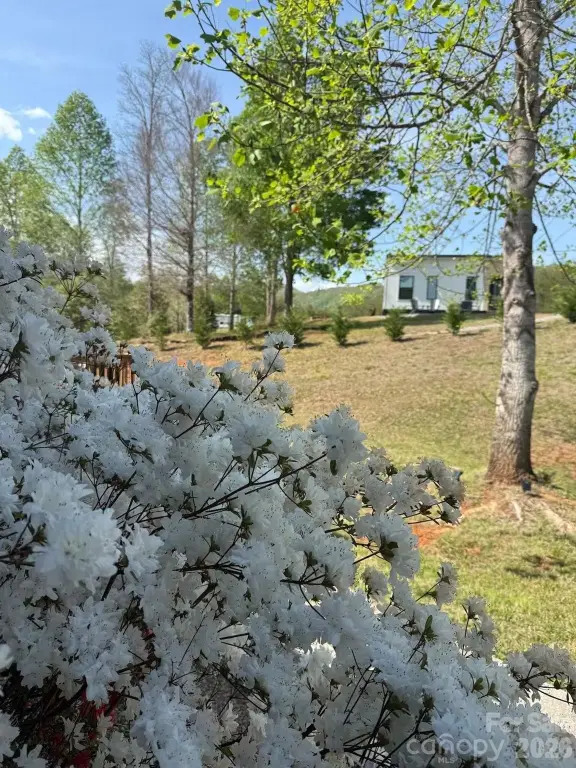 Picture 30