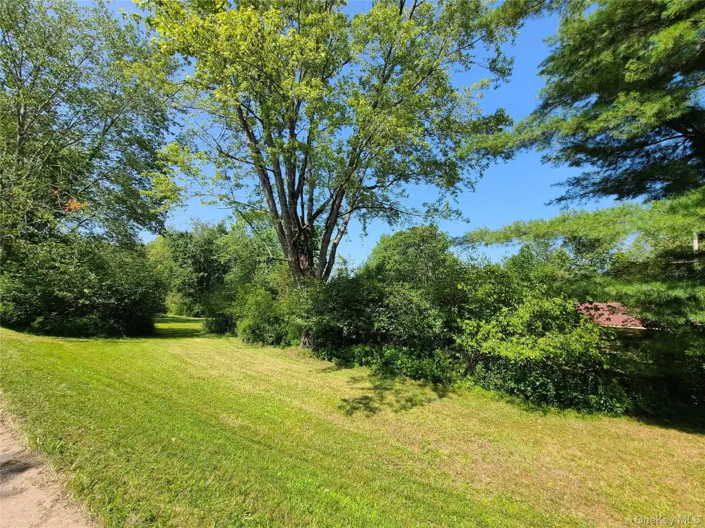 Picture 31