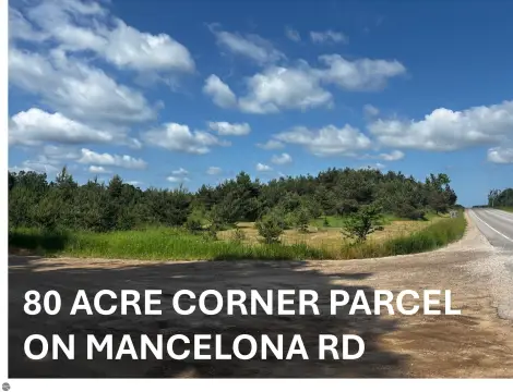 80-Acre Corner Parcel in Mancelona