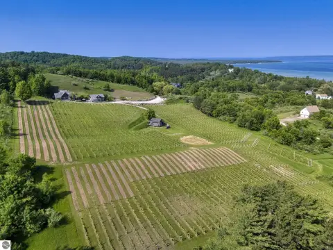 Established Vineyard and Winery Estate