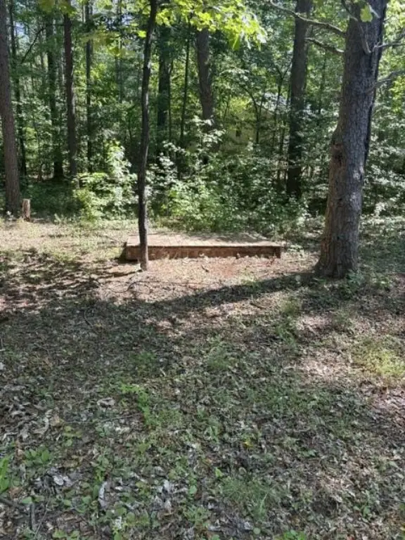 Picture 4