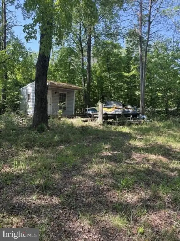 Picture 5