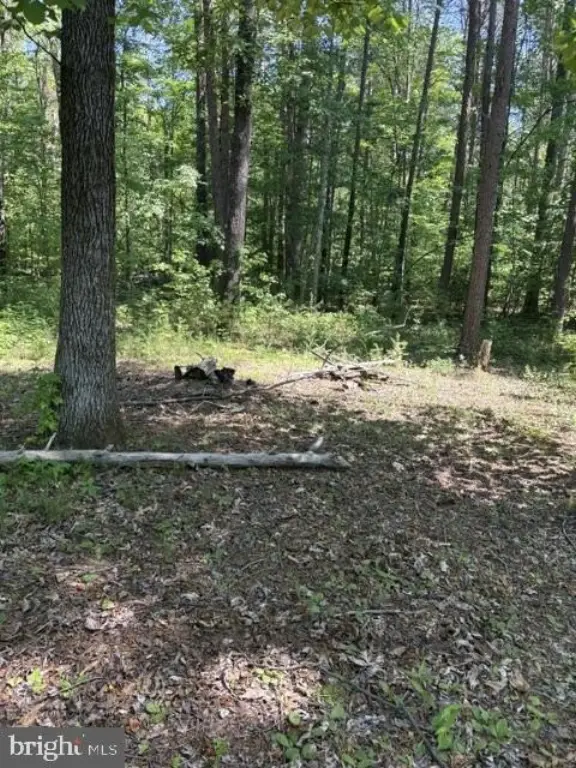 Picture 17
