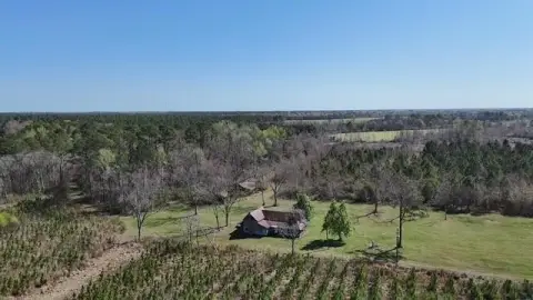 70 Acres of Country Land