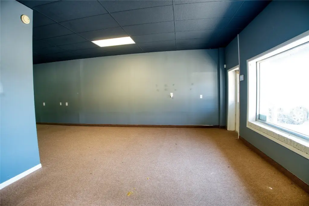 Picture 5