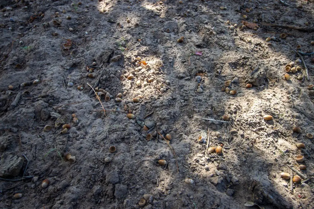 Picture 22